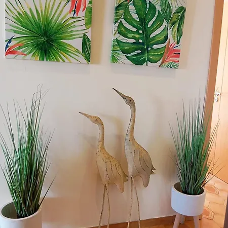 アパート Sweet Panorama T3